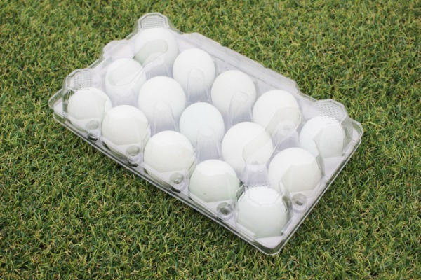 대용량 PE 계란판 15구 500개 한 박스