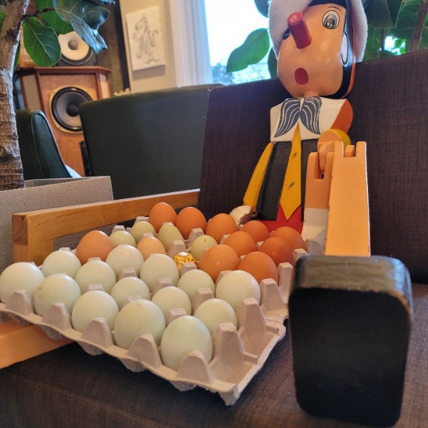 종이 계란판 모음전 100개  펄프 플라스틱 달걀 캡슐 난좌 달걀판 계란 케이스 상자 모음전